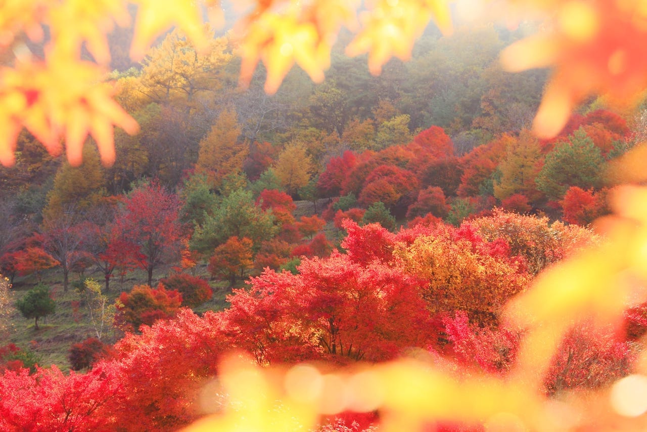 神戸市北区　三田市　不動産売却査定